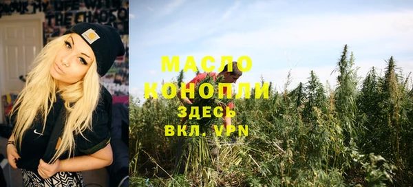apvp Бородино