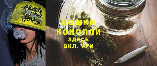 apvp Бородино