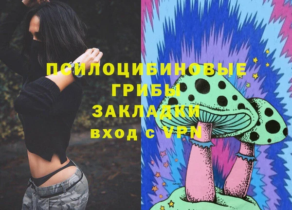 apvp Бородино