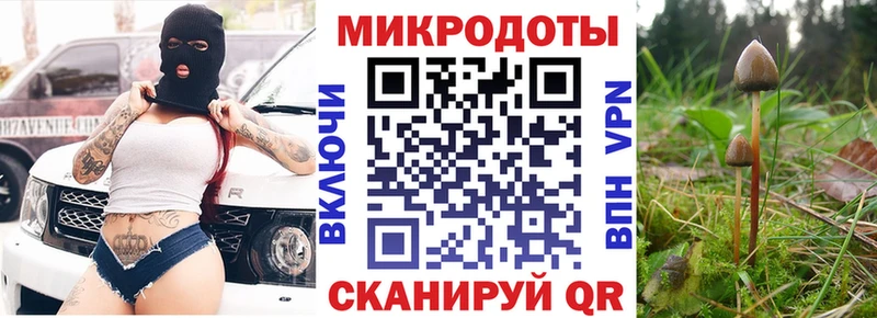 где найти наркотики  Волжский  Галлюциногенные грибы GOLDEN TEACHER 